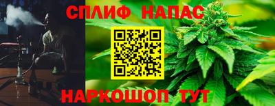 трава Славгород