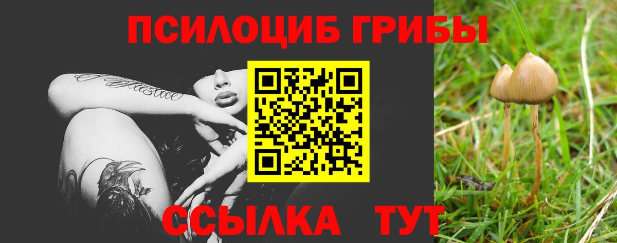 Магазины продажи наркотиков  Нарткала  ГАШ  Вход с VPN  МДМА  Cocaine  Codein  МЕФ кристаллы  ГАШ  Марихуана 